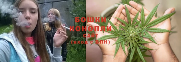 молекула духа Богородск